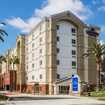 Candlewood Suites Anaheim - Resort Area By Ihg מראה חיצוני תמונה